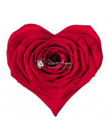 Rosa Preservada Corazón Roseamor x4  7cmØ x 5.5Alt