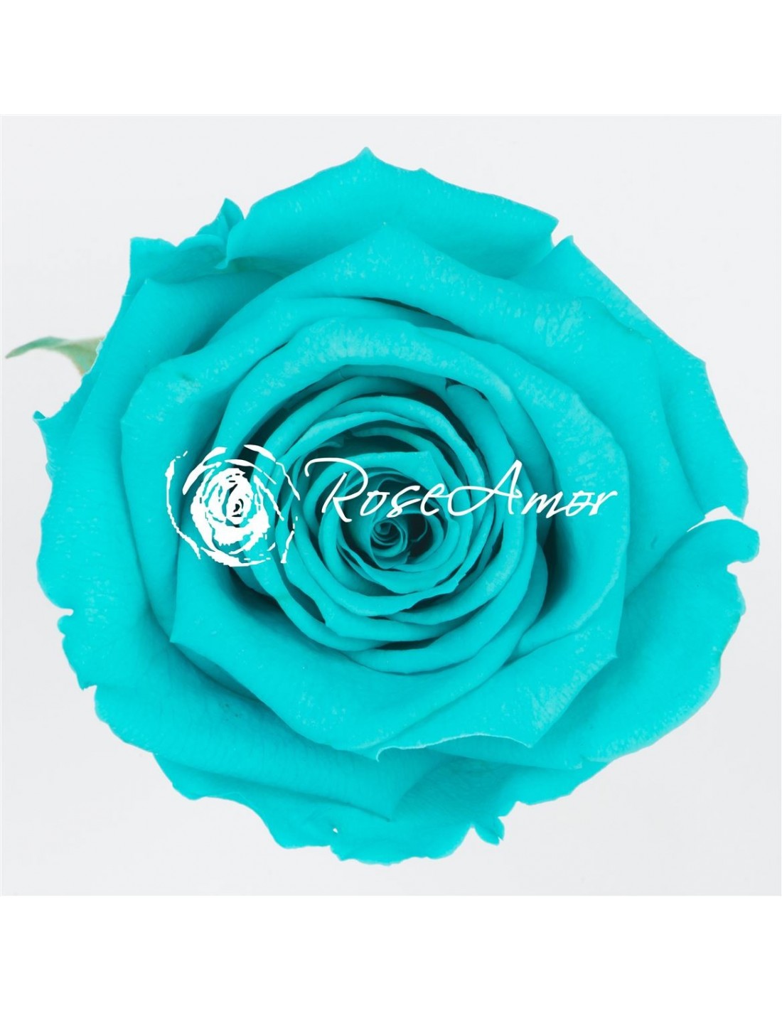 Bordado De Lujo Flor 3D En Tela De Malla Azul Real - OneYard