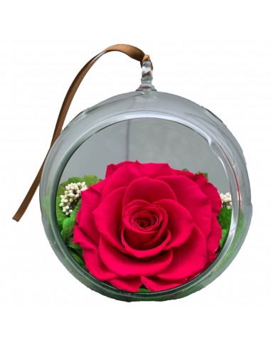 Rosa Preservada Con Base de cristal