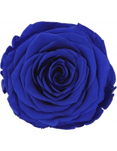 Rosa Preservada Queen Azul...