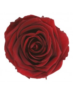 Rosa Preservada Estandar x6...