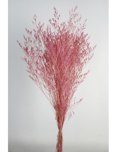 Caspia Preservada Rosa Oscuro 70cm