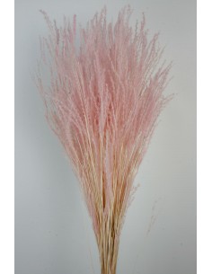 Fine Grass 50cm Rosa