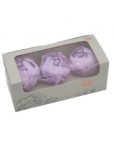 Peonia Preservada x3 Lila Pastel Ø 4-6 cm