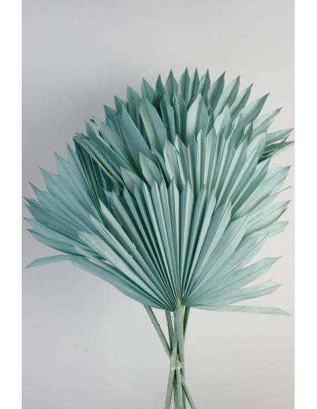 Palm Sum Turquesa claro 60cm 15/25 cm 10u