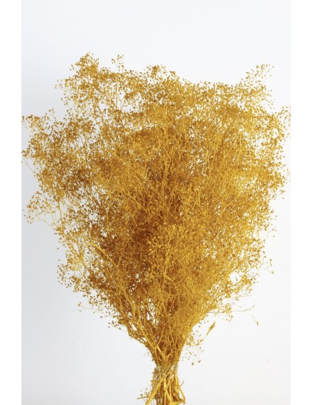 Gypsophila preservada mini... 70g