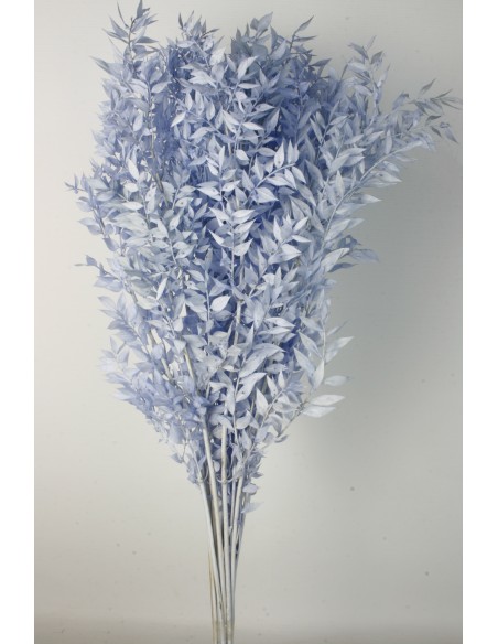 Ruscus preservado Celeste Cashmere 150g