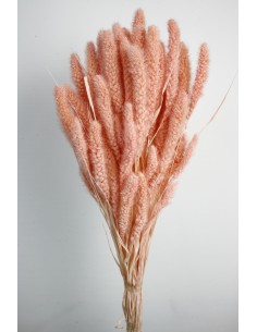 Setaria 75cm Rosa Coral180g
