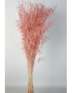 Munni color Rosa Coral