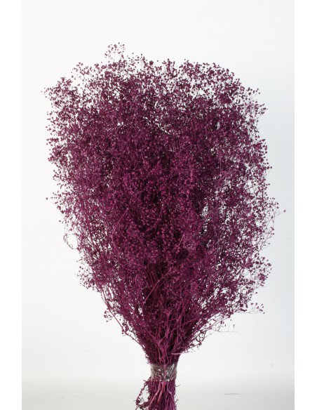 Gypsophila preservada mini Malva Oscuro 100g