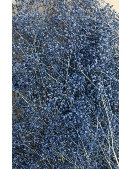 Gypsophila preservada mini Celeste Cashmere 100g