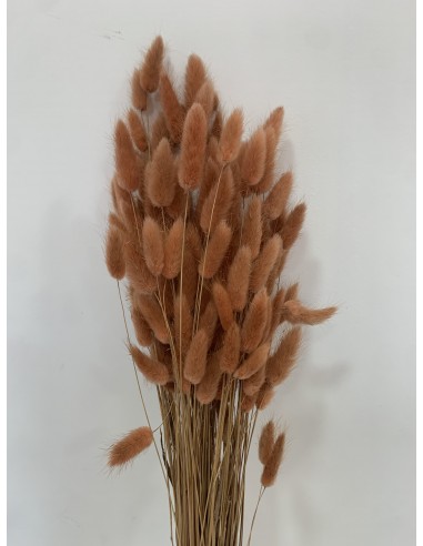 Lagurus / Bunny tails... 150g