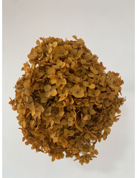 Hortensia preservada Naranja Ocre Hoja pequeña
