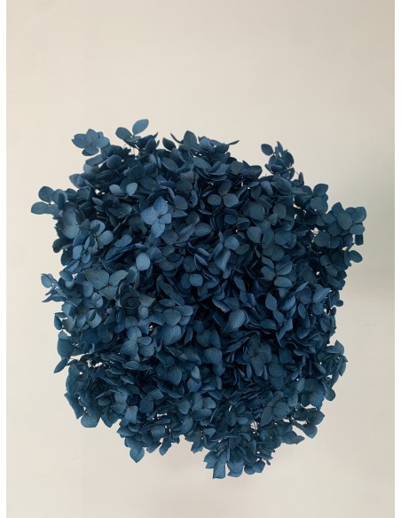 Hortensia preservada Azu Marino Hoja pequeña