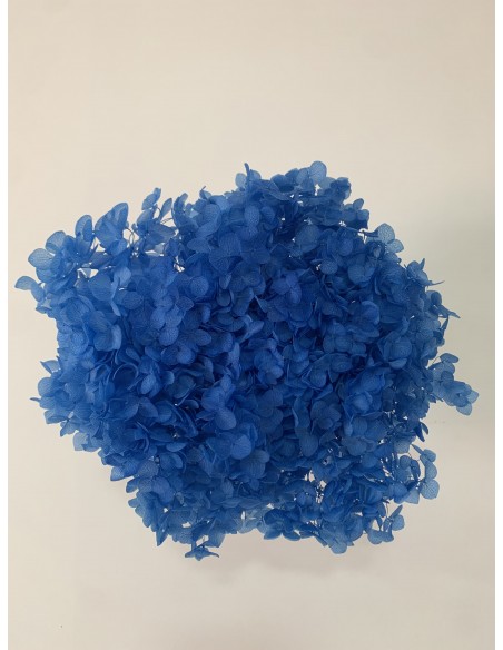 Hortensia preservada Azul Cielo Hoja pequeña