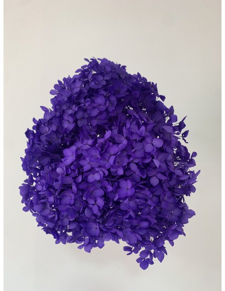 Hortensia preservada Purpura Hoja pequeña