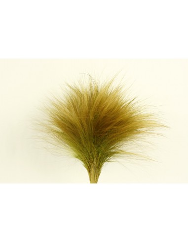 Barba Preservada Verde Natural 40/50cms