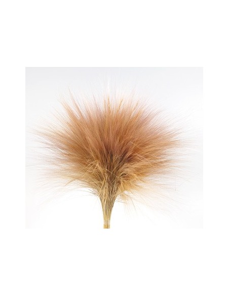 Barba Preservada Natural 40/50cms