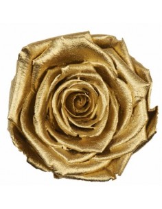 .Rosa Preservada. Oro Metal...