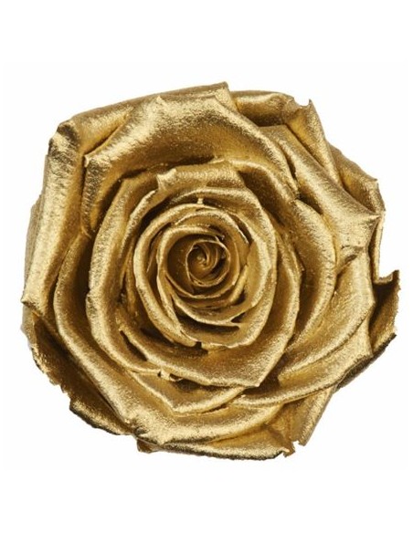 .Rosa Preservada. Oro Metal LL+ 6,5CMØ X6 Roseamor