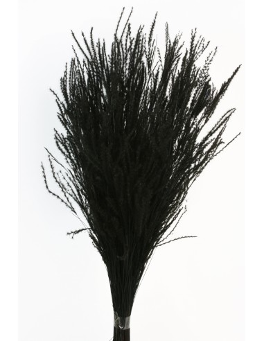 Fine Grass negro 50cms