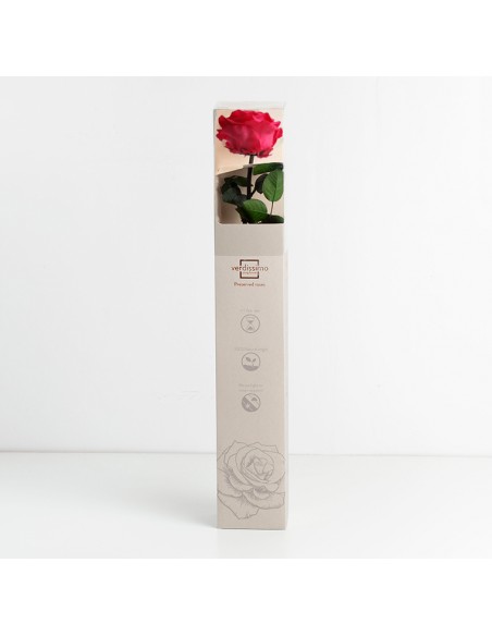 Rosa preservada estuche premium Fucsia Ø 6,5-8,5, h5