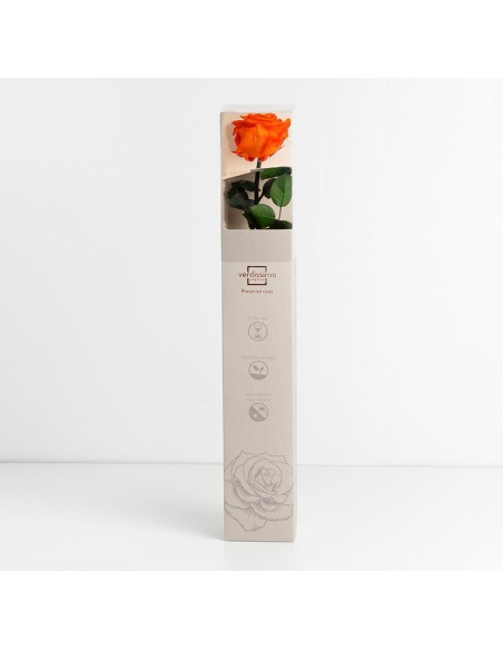 Rosa preservada estuche premium Naranja Ø 6,5-8,5, h5