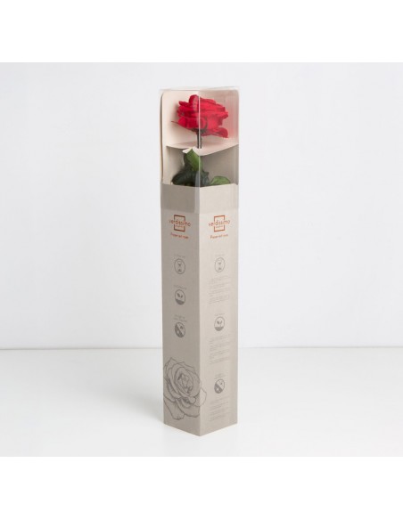Rosa preservada estuche premium Roja Ø 6,5-8,5, h5