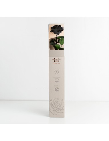 Rosa preservada estuche premium Negra Ø...