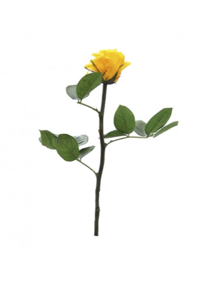 Tallo de Rosa Preservada MINI Sin Estuche Amarilla 30cm