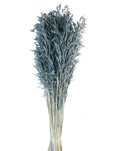 Avena Sativa  200g Azul/Gris