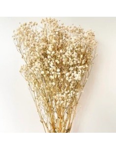 Gypsophila Paniculata Preservada Bola Natural 60cm