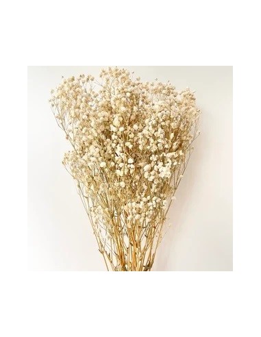 Gypsophila Paniculata Preservada Bola Natural 60cm