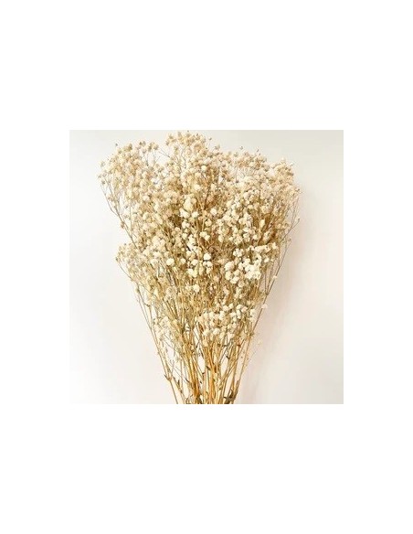 Gypsophila Paniculata Preservada Bola Natural 60cm