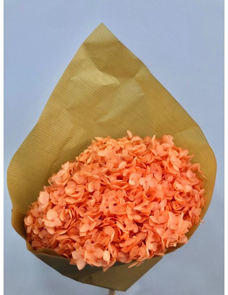 Hortensia preservada  Hoja pequeña Salmón Claro/Naranja