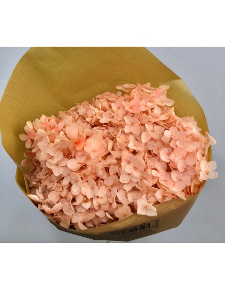 Hortensia preservada Rosa/Salmón Claro Hoja pequeña