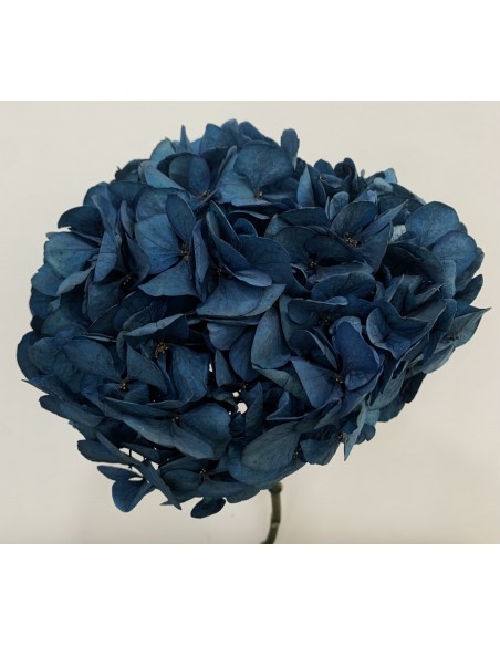 Hortensia Preservada XL Azul Marino Roseamor