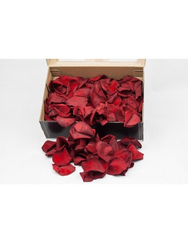Petalos de rosa preservados rojos 100g