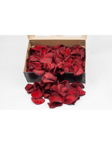 Petalos de rosa preservados rojos 100g