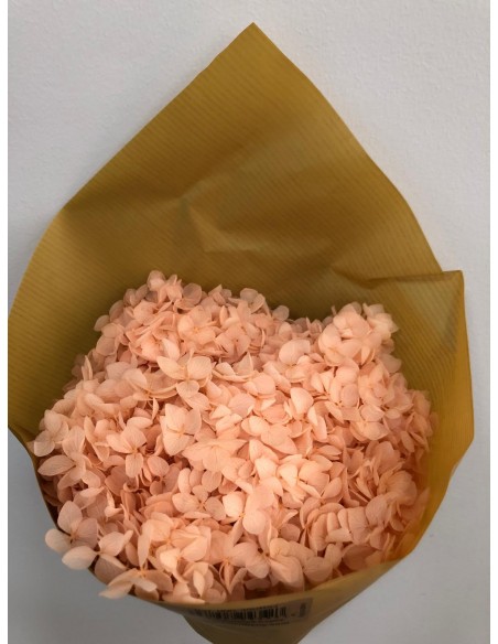 Hortensia preservada Salmón Claro Hoja pequeña