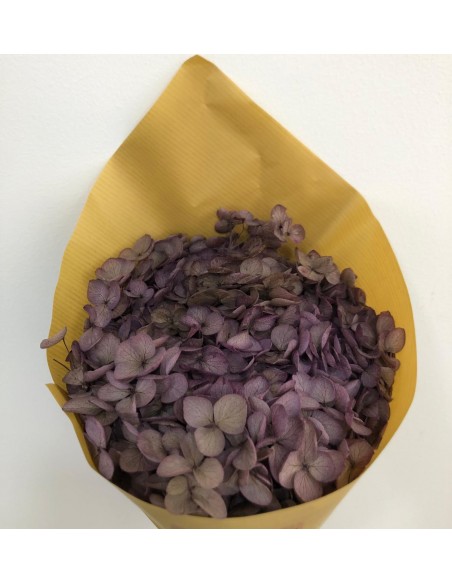 Hortensia Preservada Hoja Violeta/Berenjena Pequeña