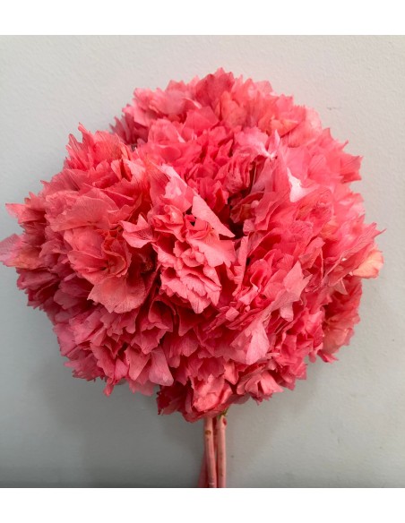 Hortensia preservada Biege/Rosa