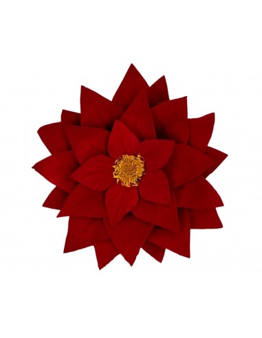 Poinsettia Preservada x4 und caja 10cm
