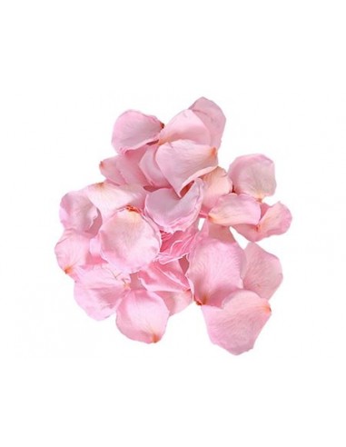 Petalos de rosa preservados rosa 100g