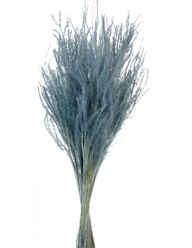Fine Grass Azul 50cms