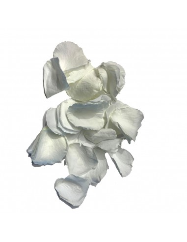 Petalos de rosa preservados blancos 100g