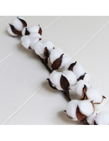 Vara de algodón artificial x8 bolas