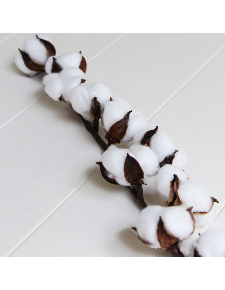 Vara de algodón artificial x8 bolas