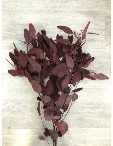 Eucalipto stuartiana Burdeos con semillas 150g