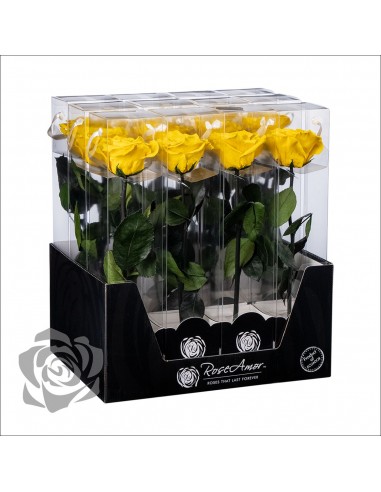 Rosa Preservada Roseamor (XL 7cmØ) Amarilla